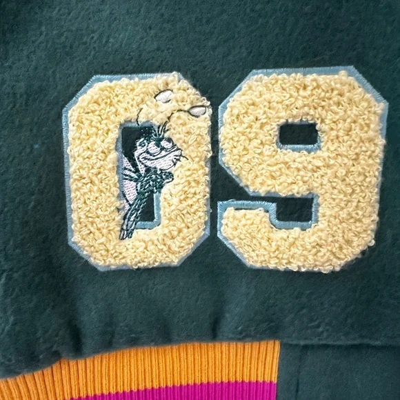 Disney's The Princess and the Frog Tiana "Dreams do come true" Varsity Jacket - Picture 5 of 9